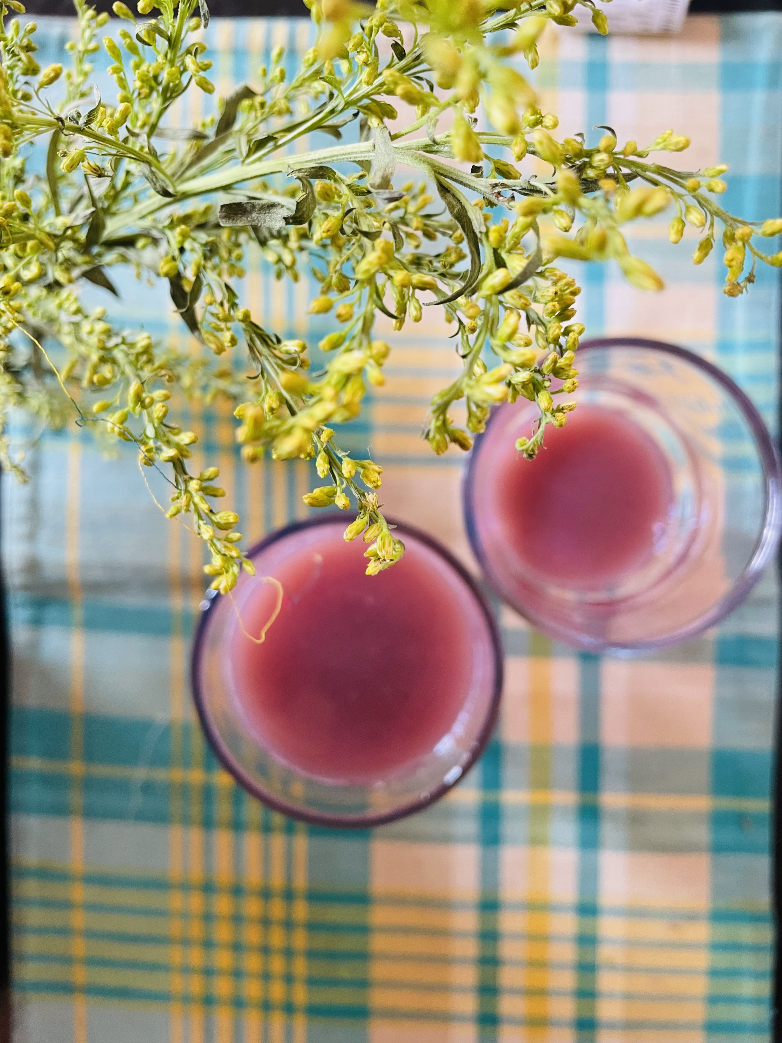 Detox wellness programs